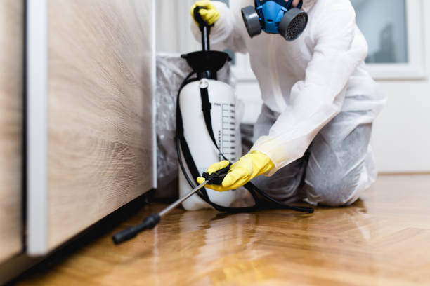 Best Insect Control  in Sprague, WV