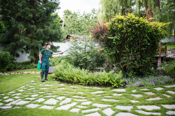 Best Affordable Pest Control Services  in Sprague, WV