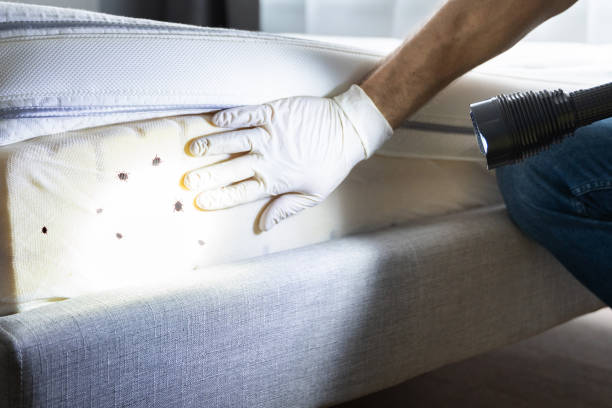 Best Best Pest Control Companies  in Sprague, WV